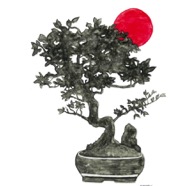 Bonsai_01.jpg