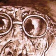 Indigene_17 Ausschnitt2.jpg