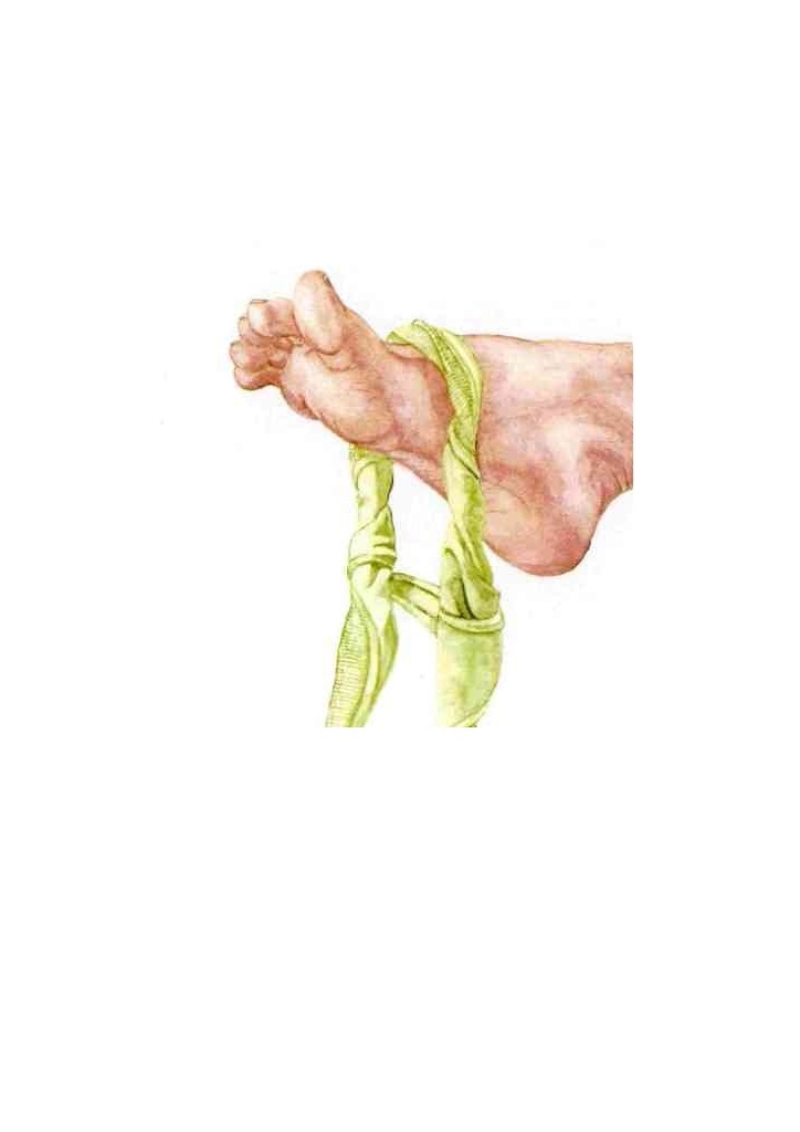 Fuss_01 Ausschnitt.jpg