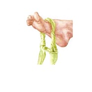 Fuss_01 Ausschnitt.jpg