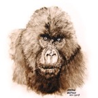 Gorilla_01.jpg