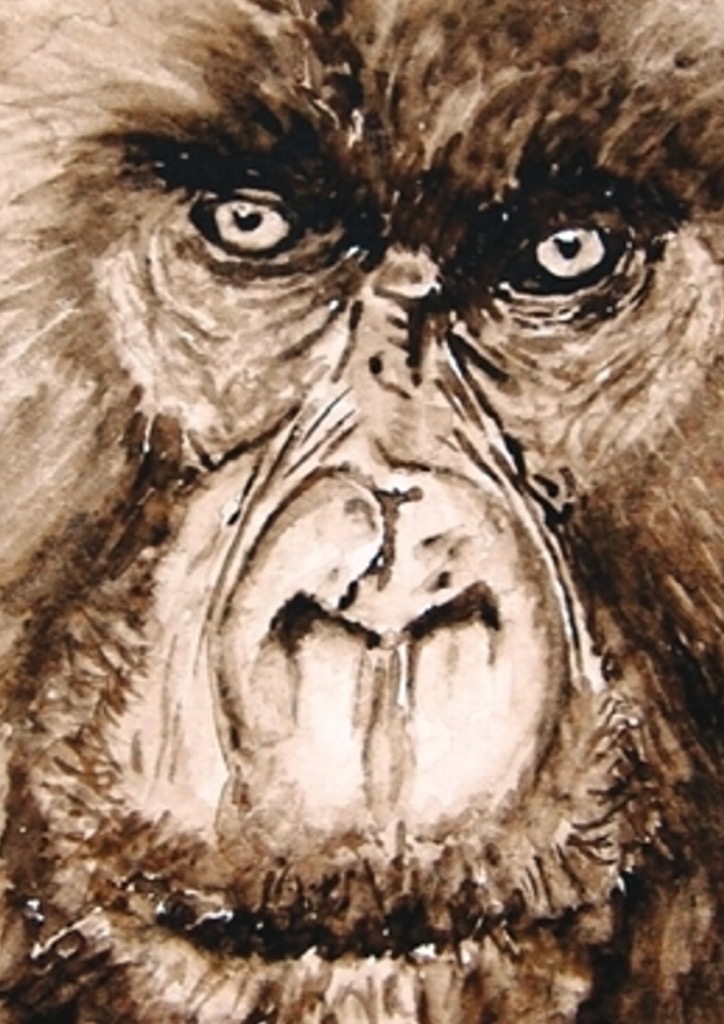 Gorilla_01_Ausschnitt.jpg