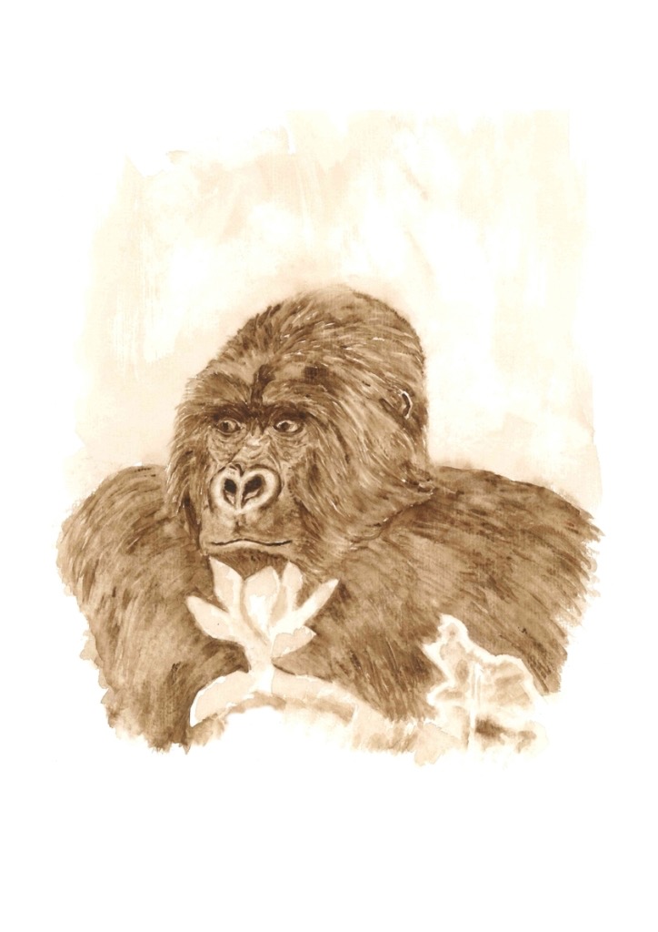 Gorilla_03.jpg