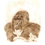 Gorilla_03.jpg