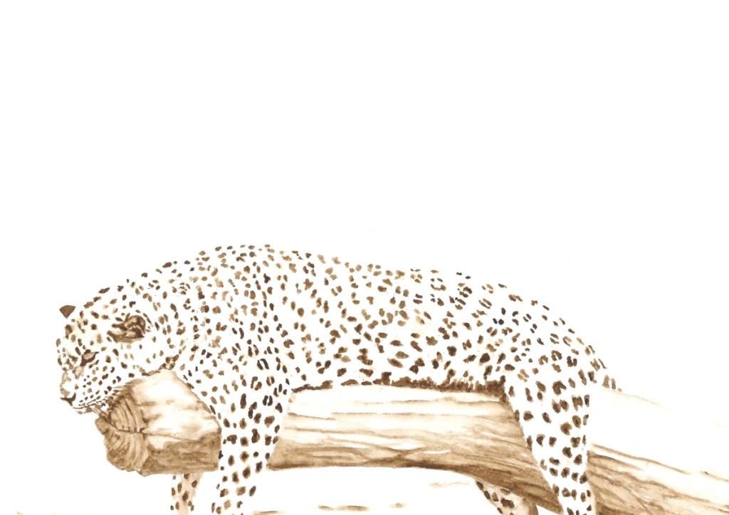 Leopard_01 Ausschnitt.jpg