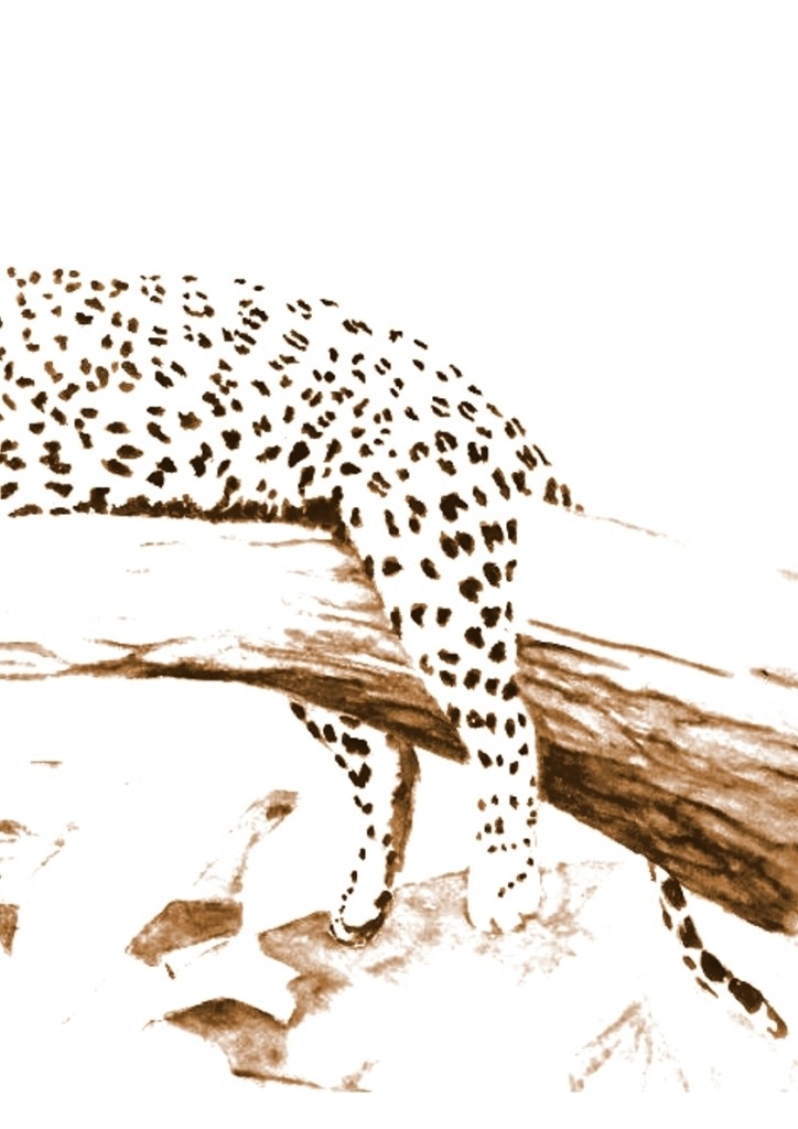 Leopard_01 Ausschnitt2.jpg