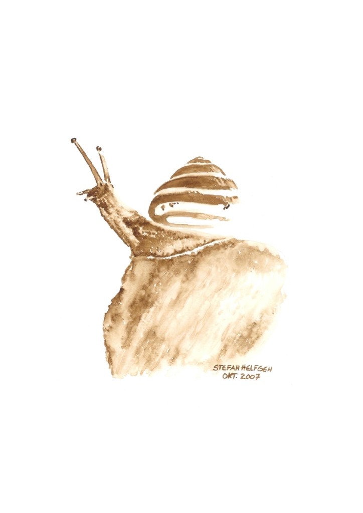 Schnecke_01.jpg