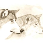 Wolf_01.jpg