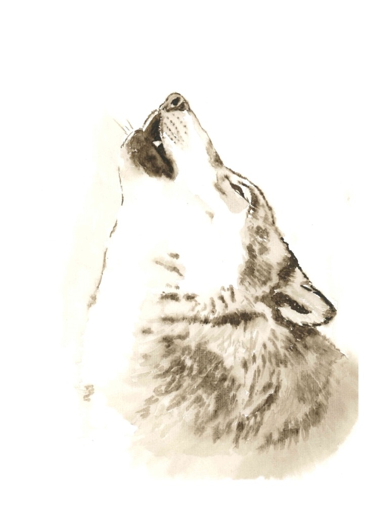 Wolf_02.jpg